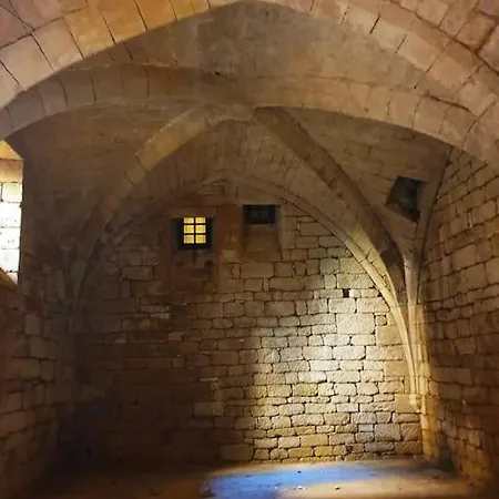 Demeure Du Xiiie-xive S. Dans La Cité Médiévale.