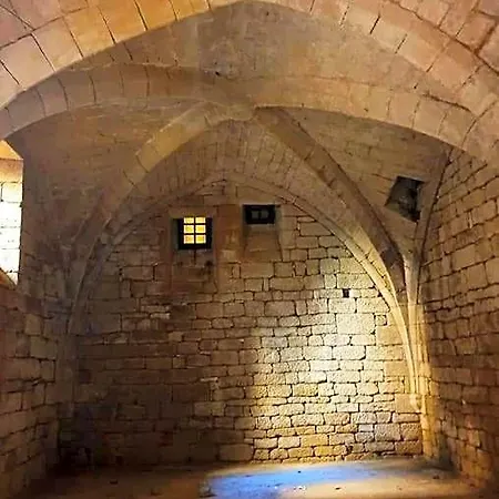 Demeure Du Xiiie-xive S. Dans La Cite Medievale.
